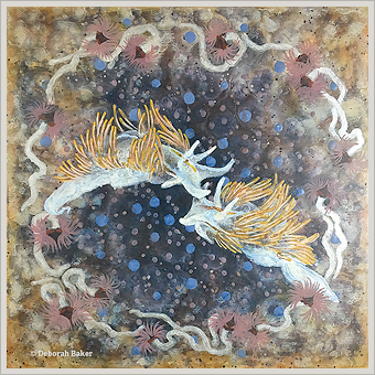 Emergent Properties: Nudibranch Quasicrystal