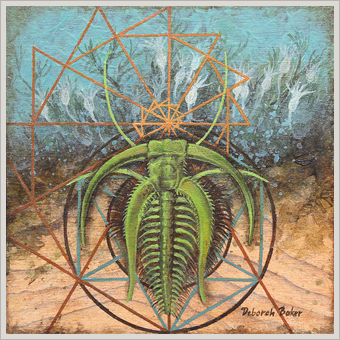 Diminishing Root Marrella