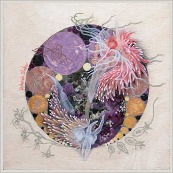 Nudibranch, Hydroid, Apollonian Gasket