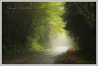 Misty roads