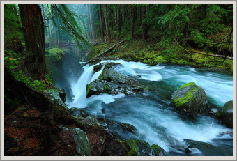 Sol Duc Falls